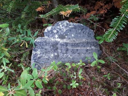 22656442_10155298965347983_671571652_n