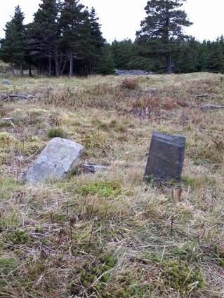 22657267_10155298966177983_2049077506_n