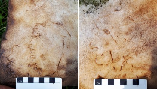 20190626_145355 copy