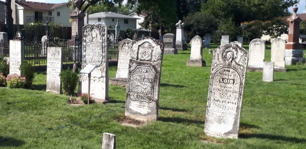 20180916_111725 copy